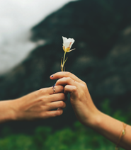 Foursquare Deutschland e.V.